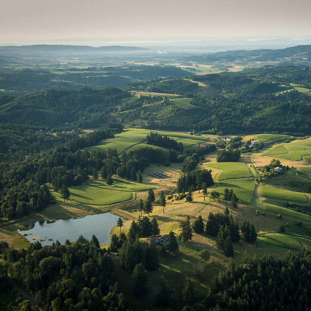 Overhead drone view of WillaKenzie Estate.